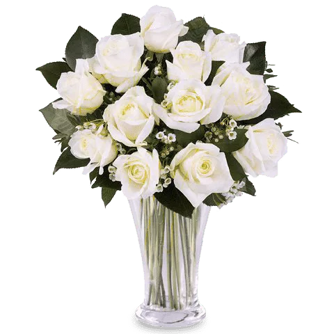 Touche de classe: 12 Roses blanches – Image 2