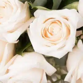 Touche de classe: 12 Roses blanches – Image 3