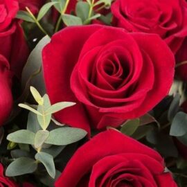 Amour infini : 12 fleurs rouges – Image 3