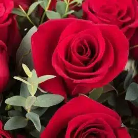 Amour infini : 12 fleurs rouges – Image 3