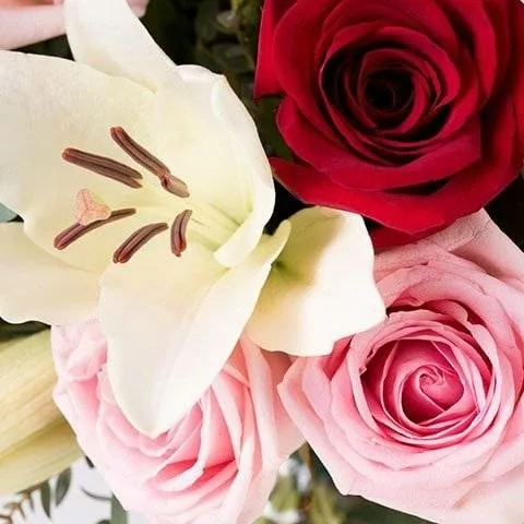 Cocktail d'Amour : Roses et Lys – Image 2