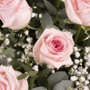 Alternative view of Secrets Roses : 12 Roses Roses