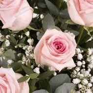 Secrets Roses : 12 Roses Roses – Image 2