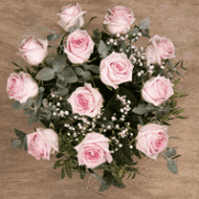 Secrets Roses : 12 Roses Roses – Image 3