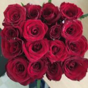 Swing: 16 roses