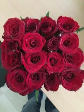 Swing: 16 roses – Image 3
