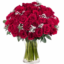 Bouquet rose rouge