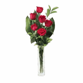 les fleurs de la poste tunisie