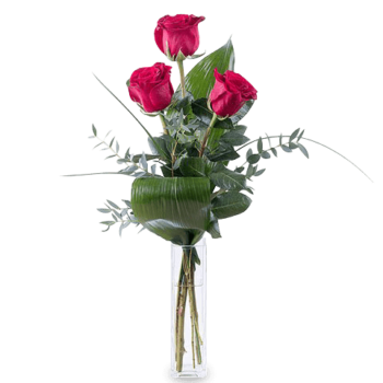 Florist delivery tunis