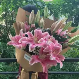 Lys Roses
