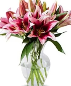 send flowers to tunisia | fleuriste |sweet flower