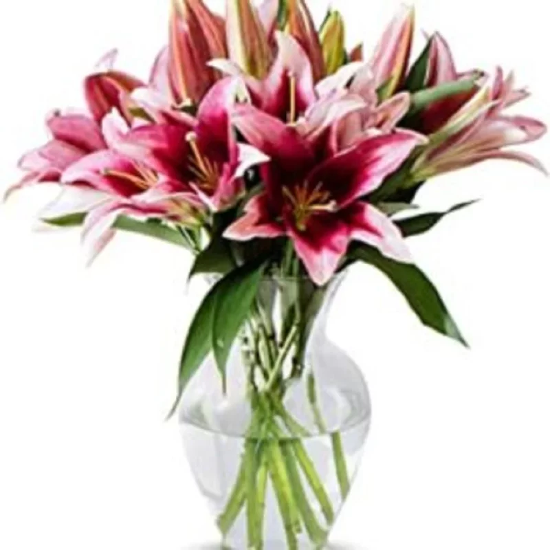 send flowers to tunisia | fleuriste |sweet flower | Fleuriste livraison Ariana