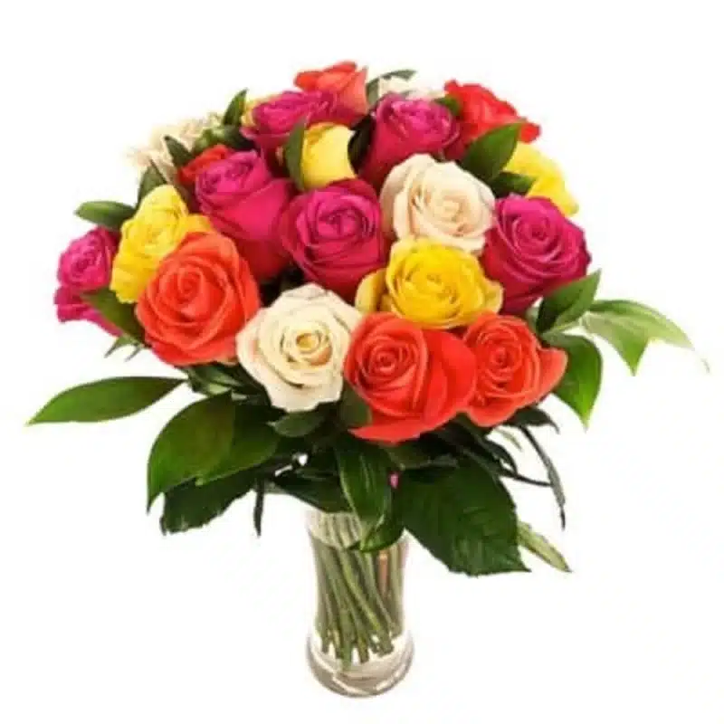 Mixed-Roses | Fleurs tunisie livraison 2023 |Flower shops Mehdia