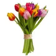Les tulipes, symboles de beauté et d'élégance, ajoutent une touche de couleur vibrante à votre journée. Leurs pétales délicats et leurs tiges élancées apportent une atmosphère florale raffinée à tout espace. Que ce soit pour égayer votre intérieur, offrir un cadeau plein de charme ou embellir un événement spécial, les tulipes sont un choix parfait.