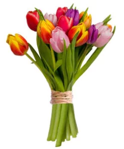 Tulips, symbols of beauty and elegance, add a vibrant pop of color to your day. Their delicate petals and slender stems bring a refined floral atmosphere to any space. Whether to brighten up your interior, offer a charming gift or embellish a special event, tulips are a perfect choice.