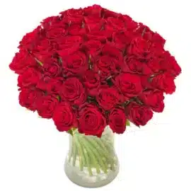 Meilleur fleuriste Tunis |