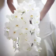 Bouquet de la mariée | fleuriste tunisie monastir