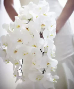 Bouquet de la mariée | fleuriste tunisie monastir